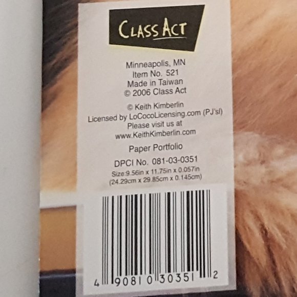 2-Pocket Folder Class Act Paper Portfolio Kittens Keith Kimberlin - Picture 7 of 10